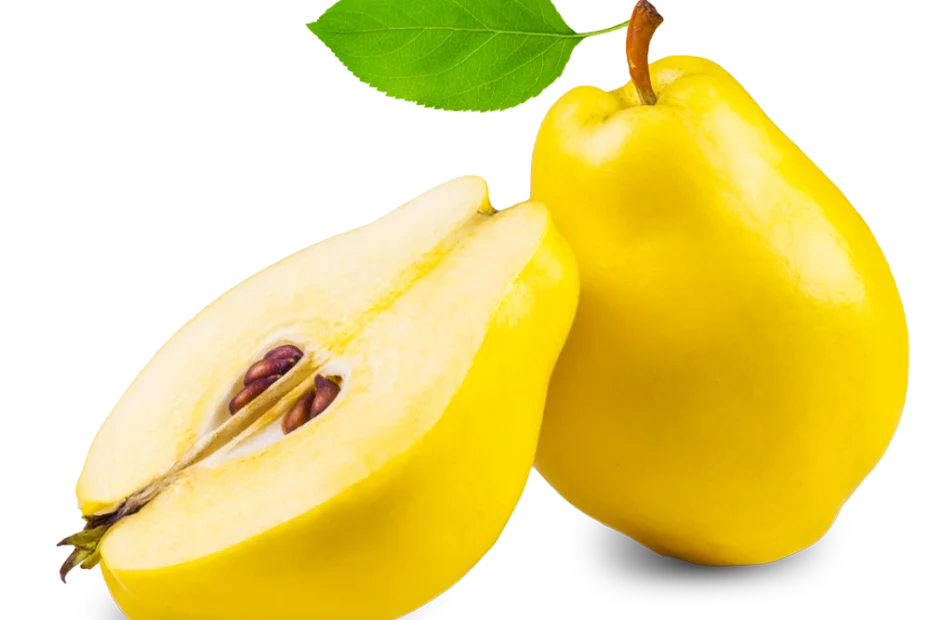 1000px X 800px 42