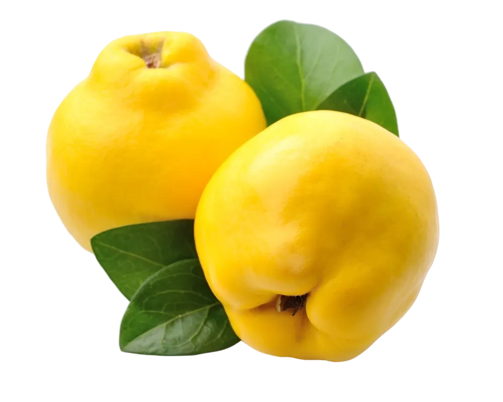 1000px X 800px