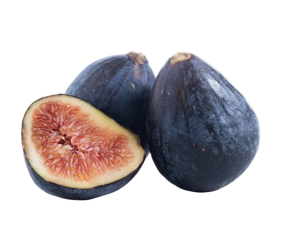 1000px X 800px