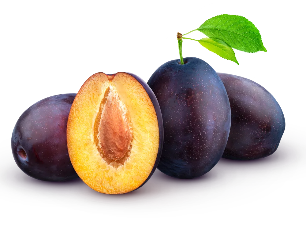 PLUMS 1000-800