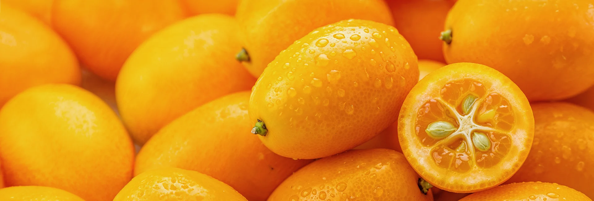 kumquat
