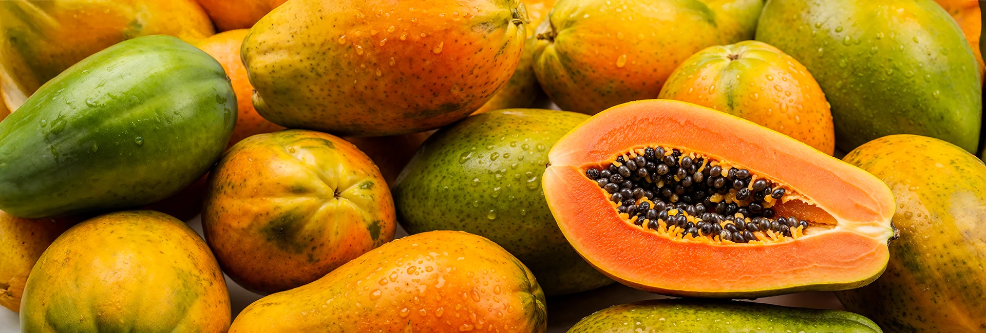 papaya