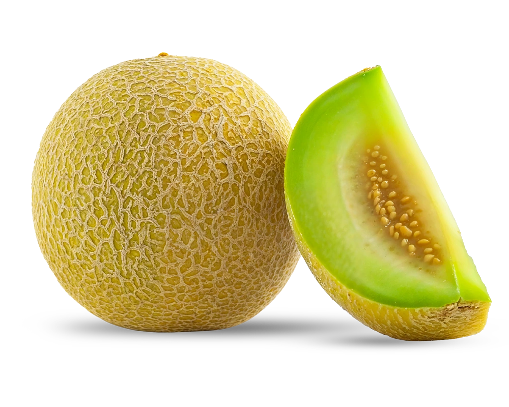 Sweet Melon 5 Sweet Melon 5