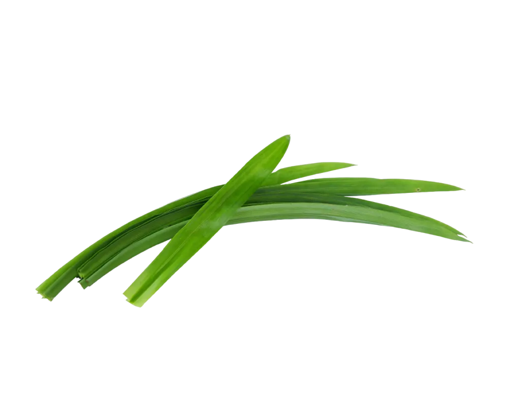 Pandan Leaves