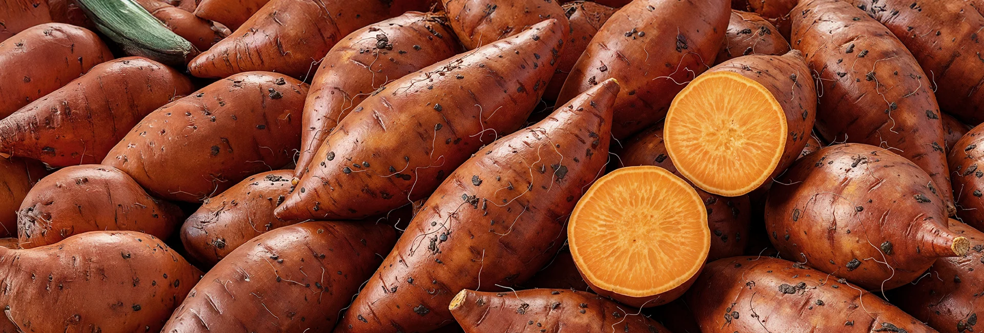 sweet potato